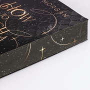 Buchcover und Innenansicht für das Buch: How To Catch A Magical Light (New York Magics 1)