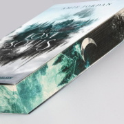Buchcover und Innenansicht für das Buch: All The Hidden Monsters 2