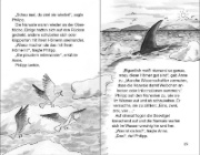 Buchcover und Innenansicht für das Buch: Narwhal on a Sunny Night