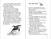 Buchcover und Innenansicht für das Buch: Narwhal on a Sunny Night