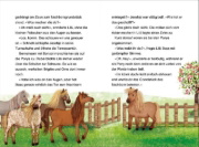 Buchcover und Innenansicht für das Buch: Liliane Susewind - Ein Pony mit Flausen im Kopf