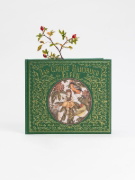 Buchcover und Innenansicht für das Buch: A Natural History of Fairies