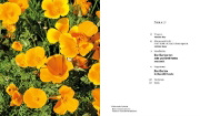 Buchcover und Innenansicht für das Buch: Der Garten von Ada und Emil Nolde