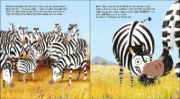 Buchcover und Innenansicht für das Buch: Which Bum's Mums?