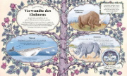 Buchcover und Innenansicht für das Buch: The Secret Unicorn Club