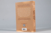 Buchcover und Innenansicht für das Buch: Golden Heritage (Crumbling Hearts, Band 2)