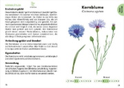 Buchcover und Innenansicht für das Buch: Le Petit guide des plantes médicinales
