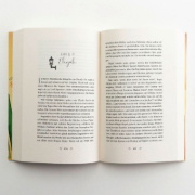 Buchcover und Innenansicht für das Buch: Das kleine Bücherdorf: Herbstleuchten