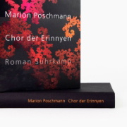 Buchcover und Innenansicht für das Buch: Chor der Erinnyen