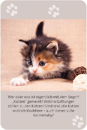 Buchcover und Innenansicht für das Buch: Das große Katzen Quiz