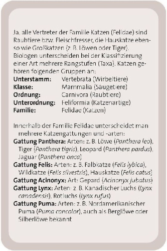 Buchcover und Innenansicht für das Buch: Das große Katzen Quiz