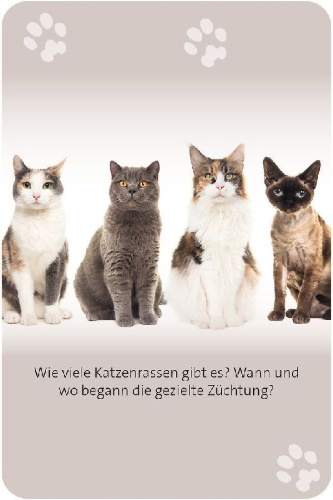 Buchcover und Innenansicht für das Buch: Das große Katzen Quiz