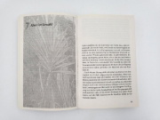 Buchcover und Innenansicht für das Buch: Als ich vom Himmel fiel