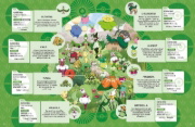 Buchcover und Innenansicht für das Buch: Le guide cherche-et-trouve les 18 types de Pokémon de Paldea