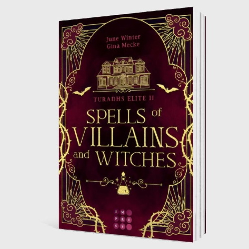 Buchcover und Innenansicht für das Buch: Spells of Villains and Witches  (Turadhs Elite 2)