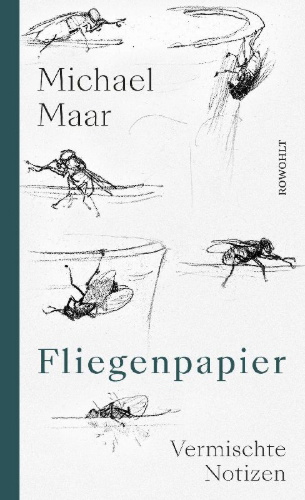 Buchcover und Innenansicht für das Buch: Fliegenpapier