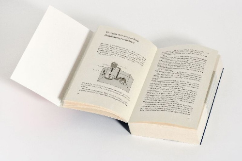 Buchcover und Innenansicht für das Buch: Little Addictions. The Tiny But Mighty Diversions from Our Best Lives