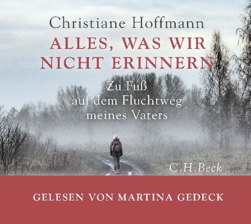 Buchcover und Innenansicht für das Buch: Alles, was wir nicht erinnern