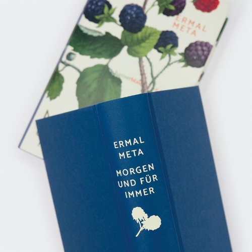 Buchcover und Innenansicht für das Buch: Domani e Per sempre