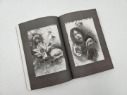 Buchcover und Innenansicht für das Buch: Hidden Pictures