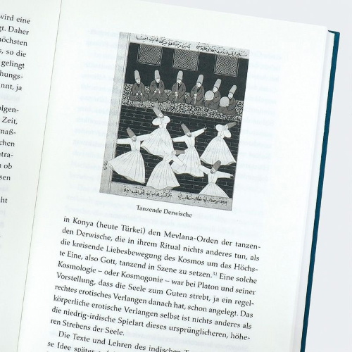 Buchcover und Innenansicht für das Buch: Yoga oder Die sanfte Eroberung des Westens durch den Osten