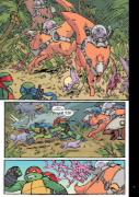 Buchcover und Innenansicht für das Buch: Teenage Mutant Ninja Turtles IDW Collection 05