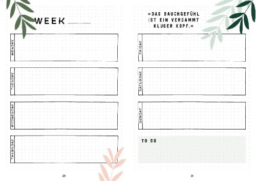 Buchcover und Innenansicht für das Buch: Mein Bullet Journal (Jungle Edition) - Besser planen & Träume verwirklichen