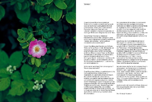 Buchcover und Innenansicht für das Buch: Fermentiert