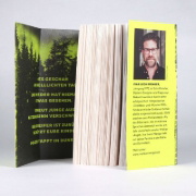 Buchcover und Innenansicht für das Buch: Finster