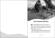 Buchcover und Innenansicht für das Buch: The Last Firehawk - The Silver Swamp
