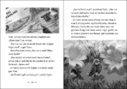 Buchcover und Innenansicht für das Buch: The Last Firehawk - The Silver Swamp