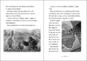 Buchcover und Innenansicht für das Buch: The last Firehawk - The Shadowlands