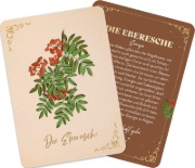 Buchcover und Innenansicht für das Buch: Orakelkarten: Die verborgene Kraft der Bäume