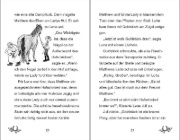 Buchcover und Innenansicht für das Buch: Ponyhof Apfelblüte 03. Lotte und Goldstück