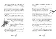 Buchcover und Innenansicht für das Buch: Ruby Fairygale (Band 5) - Der verbotene Zauber
