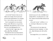 Buchcover und Innenansicht für das Buch: Ponyhof Apfelblüte 05. Mia und Aska