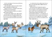 Buchcover und Innenansicht für das Buch: Glöckchen, das Weihnachtspony (Band 2) - Der Zauber des Nordsterns