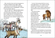 Buchcover und Innenansicht für das Buch: Glöckchen, das Weihnachtspony (Band 2) - Der Zauber des Nordsterns