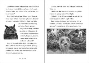 Buchcover und Innenansicht für das Buch: The Last Firehawk - The Cloud Kingdom