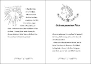 Buchcover und Innenansicht für das Buch: Unicorn Magic. Sparklesplash meets the Mermaids