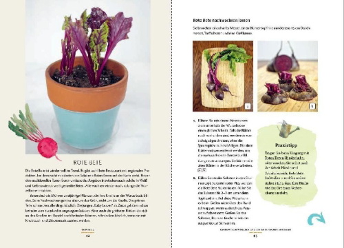 Buchcover und Innenansicht für das Buch: no-waste litchen gardening