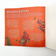Buchcover und Innenansicht für das Buch: Season Sisters - Herbstschatten