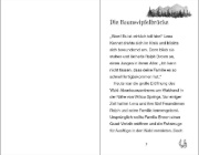 Buchcover und Innenansicht für das Buch: Ponyhof Apfelblüte (Band 24) - Hannahs großer Sprung