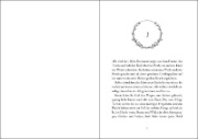 Buchcover und Innenansicht für das Buch: Silver Horse Creek - Storm Damage