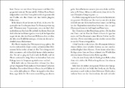Buchcover und Innenansicht für das Buch: Silver Horse Creek - Storm Damage