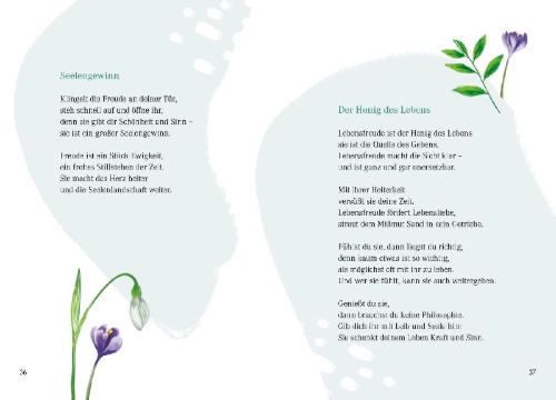 Buchcover und Innenansicht für das Buch: Die Magie des Lächelns
