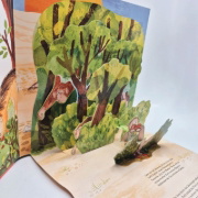 Buchcover und Innenansicht für das Buch: Jane Goodall. A Pop-up-Book