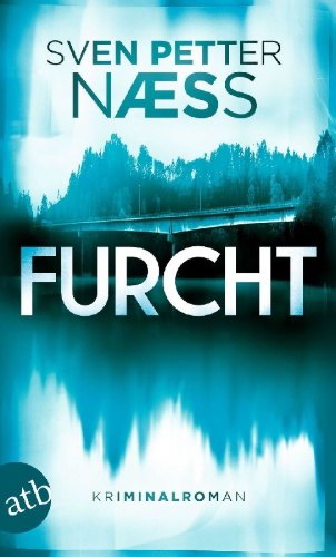 Buchcover und Innenansicht für das Buch: Skjebnesteinen