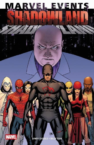 Buchcover und Innenansicht für das Buch: Shadowland (2010) #1-#5