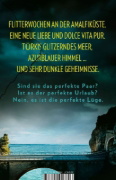 Buchcover und Innenansicht für das Buch: The Honeymoon Suite